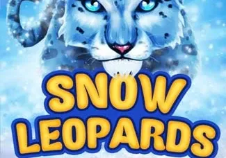 Snow Leopards